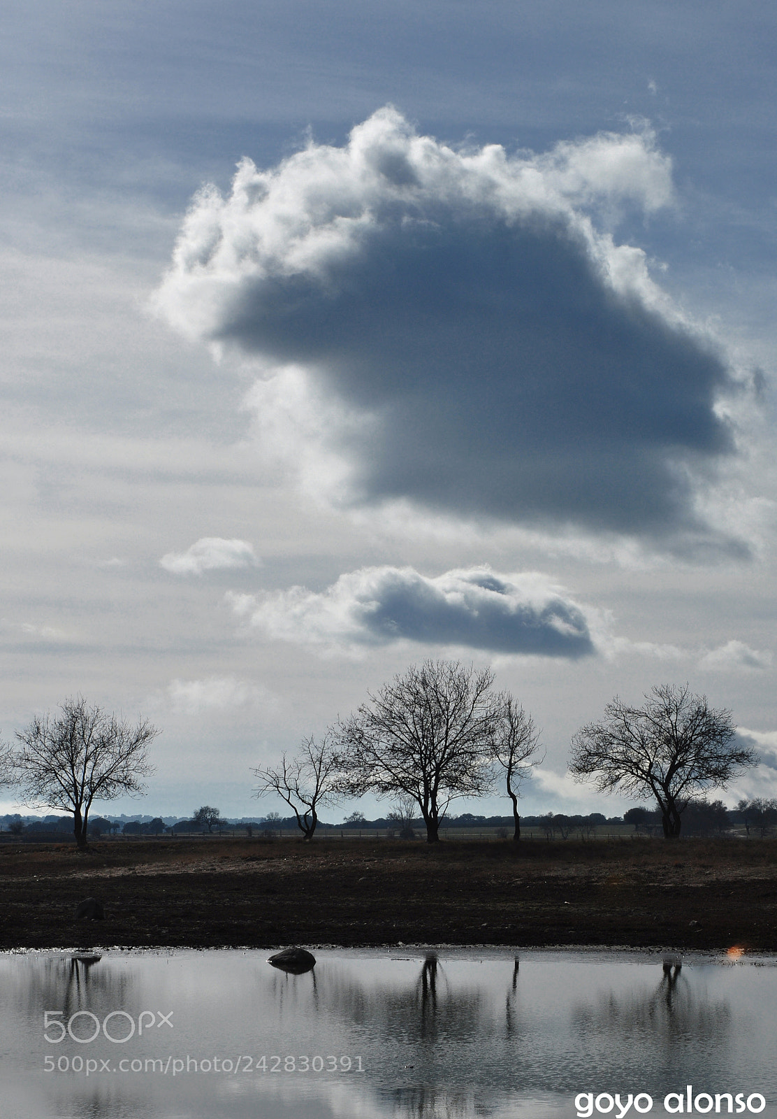 Nikon D5000 sample photo. Reflejos photography