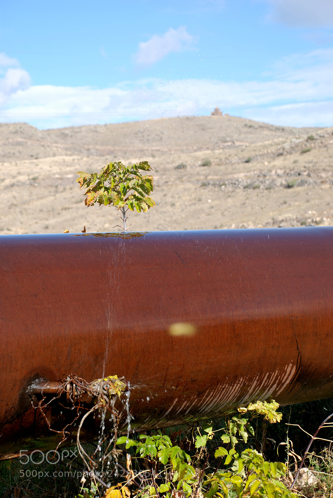 Nikon D80 sample photo. Leak water photography