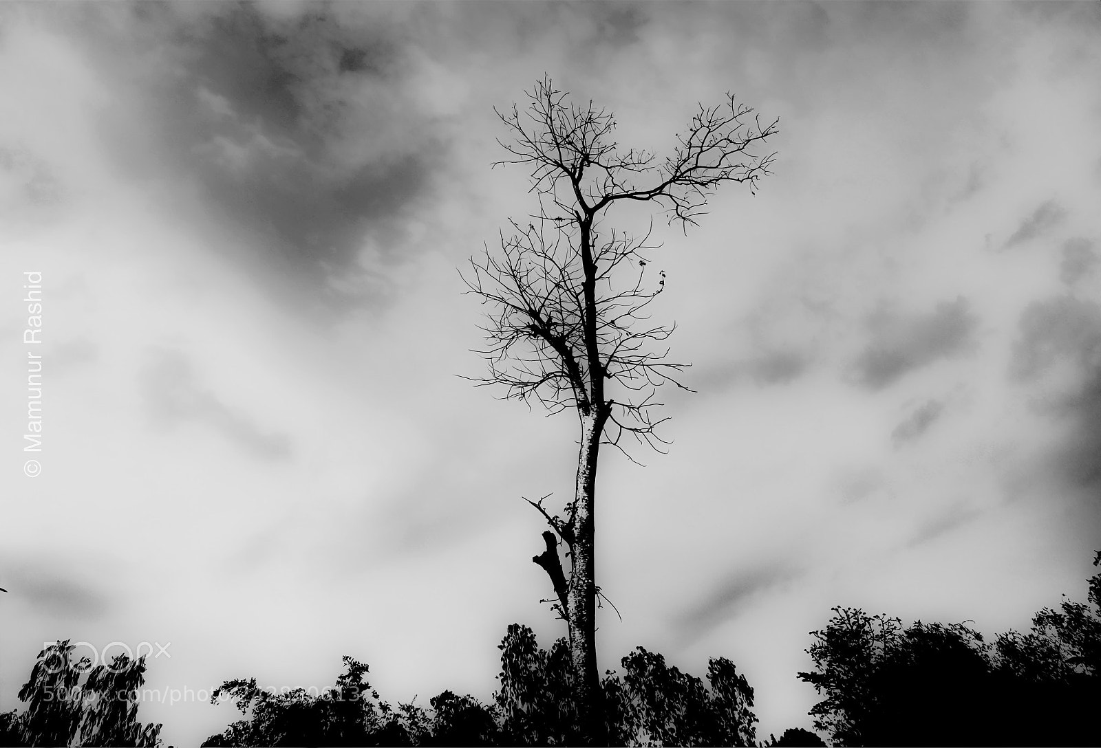 Fujifilm X-T1 sample photo. Blackandwhite photography
