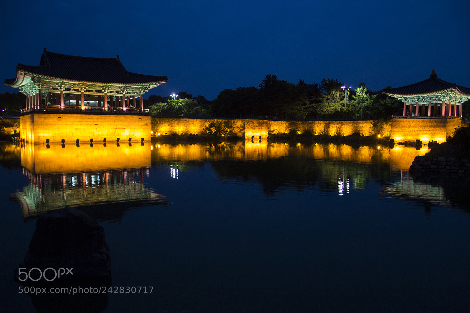 Nikon D3100 sample photo. Anapji pond photography