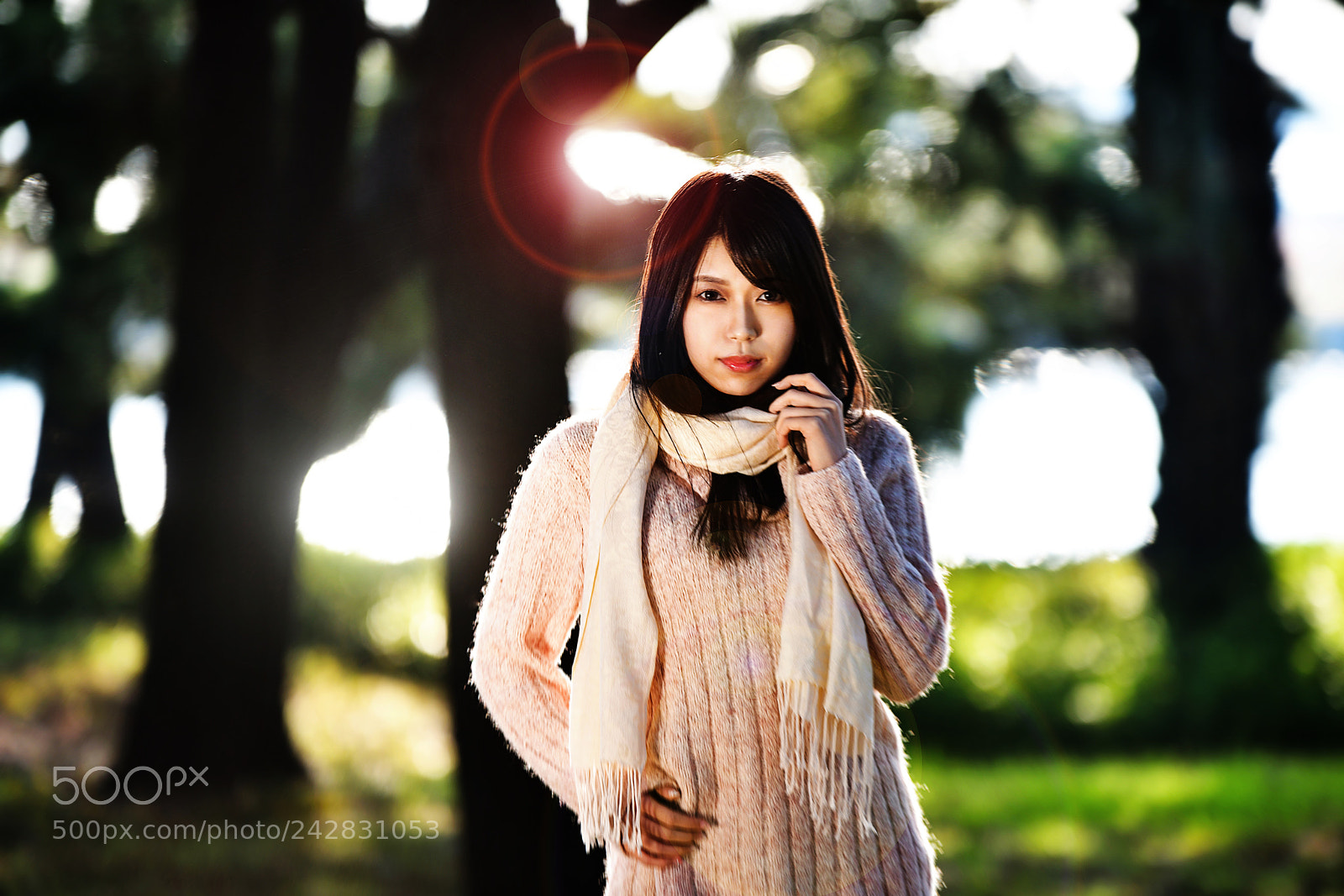 Nikon D850 sample photo. Backlighting photography