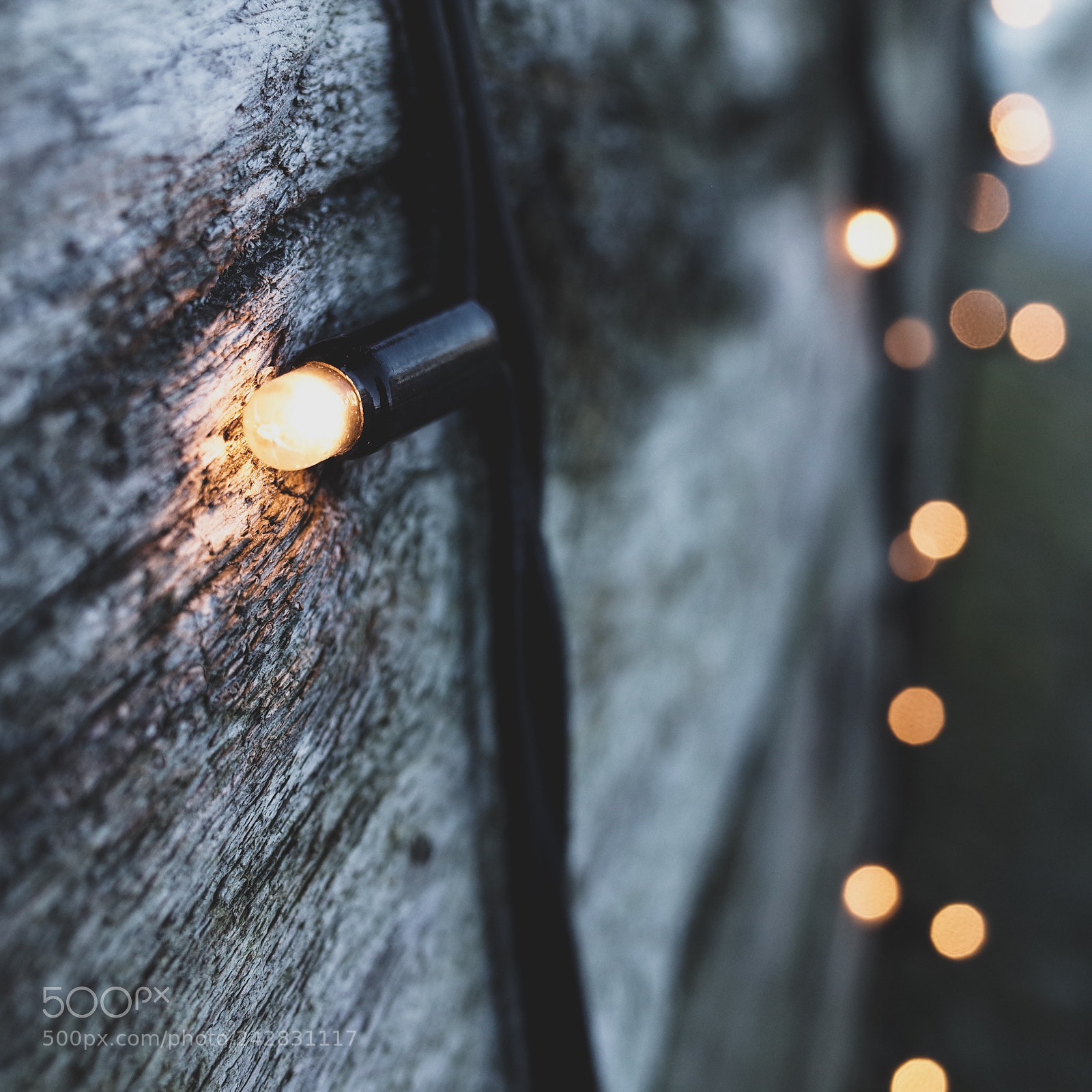 Ricoh GR II sample photo. The last christmas lights photography