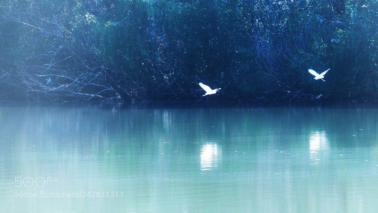 Olympus PEN-F sample photo. 对 photography