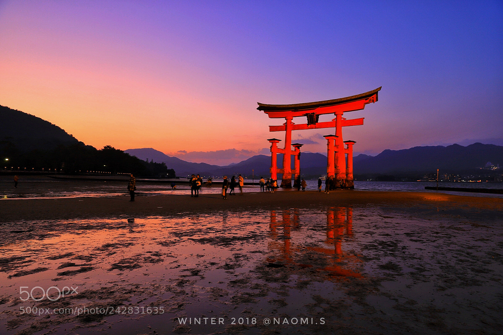 Canon EOS 6D Mark II sample photo. Untitled photography