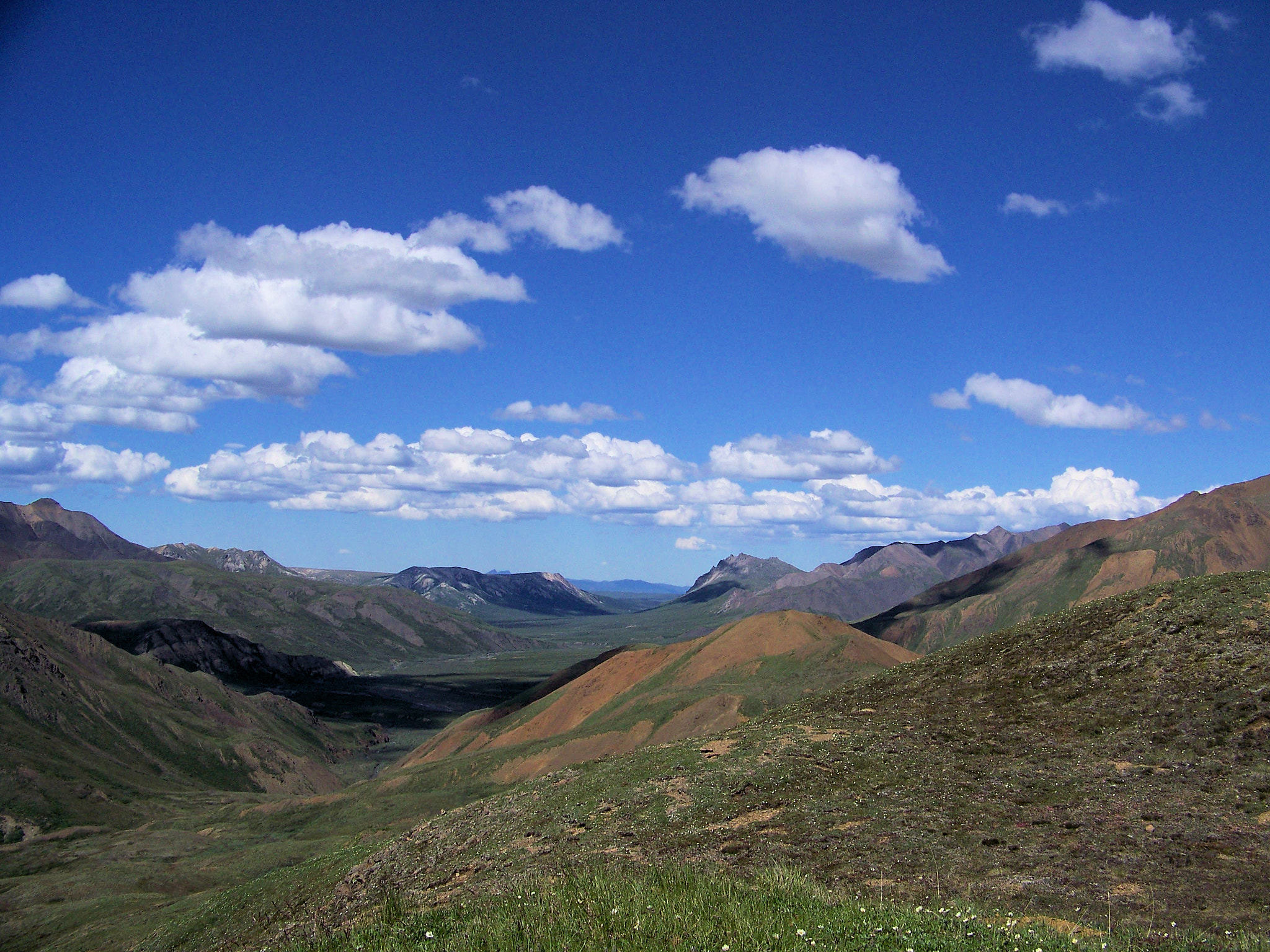 Kodak Z712 IS ZOOM DIGITAL CAMERA sample photo. View north from stony hill in denali photography