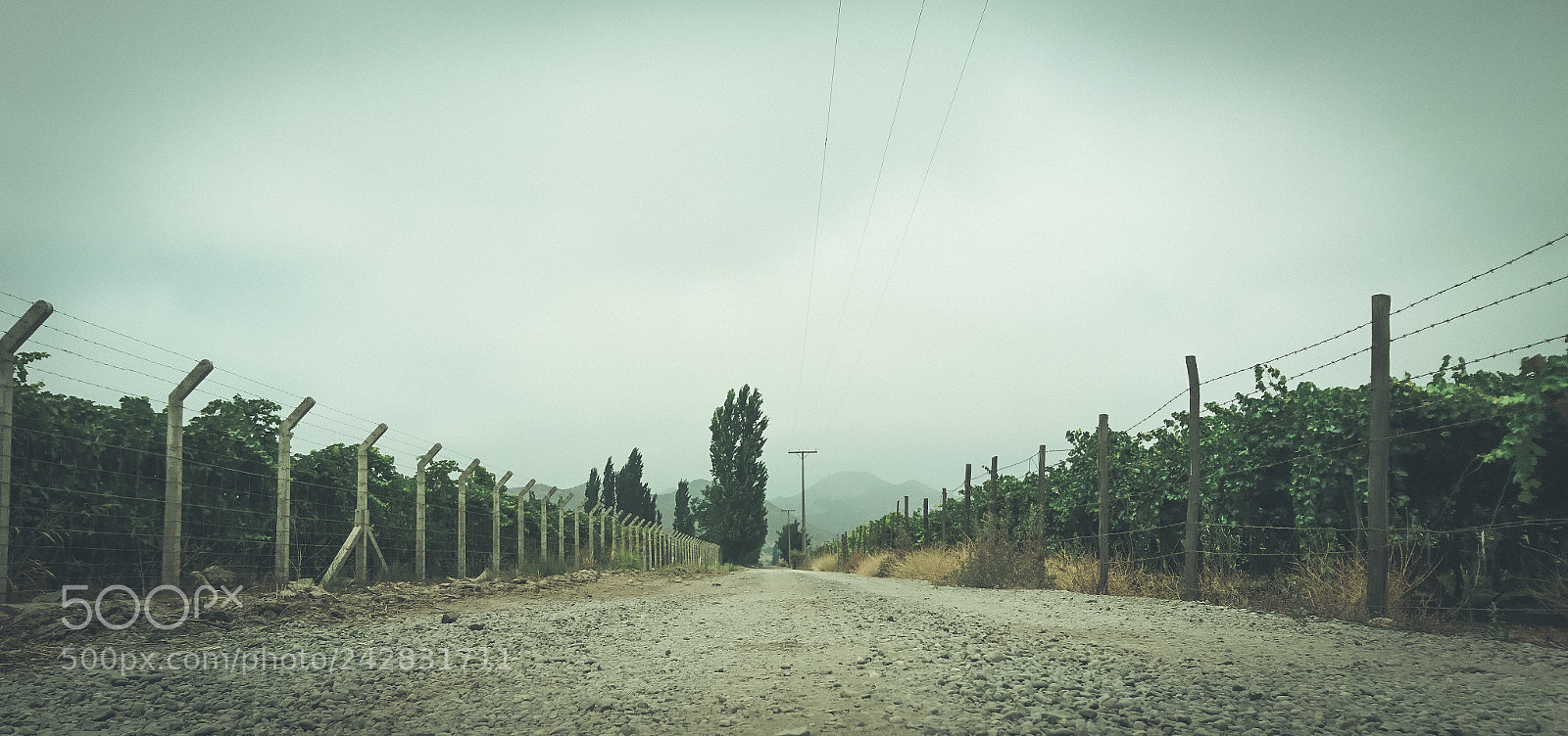 Sony Xperia X sample photo. A road... photography