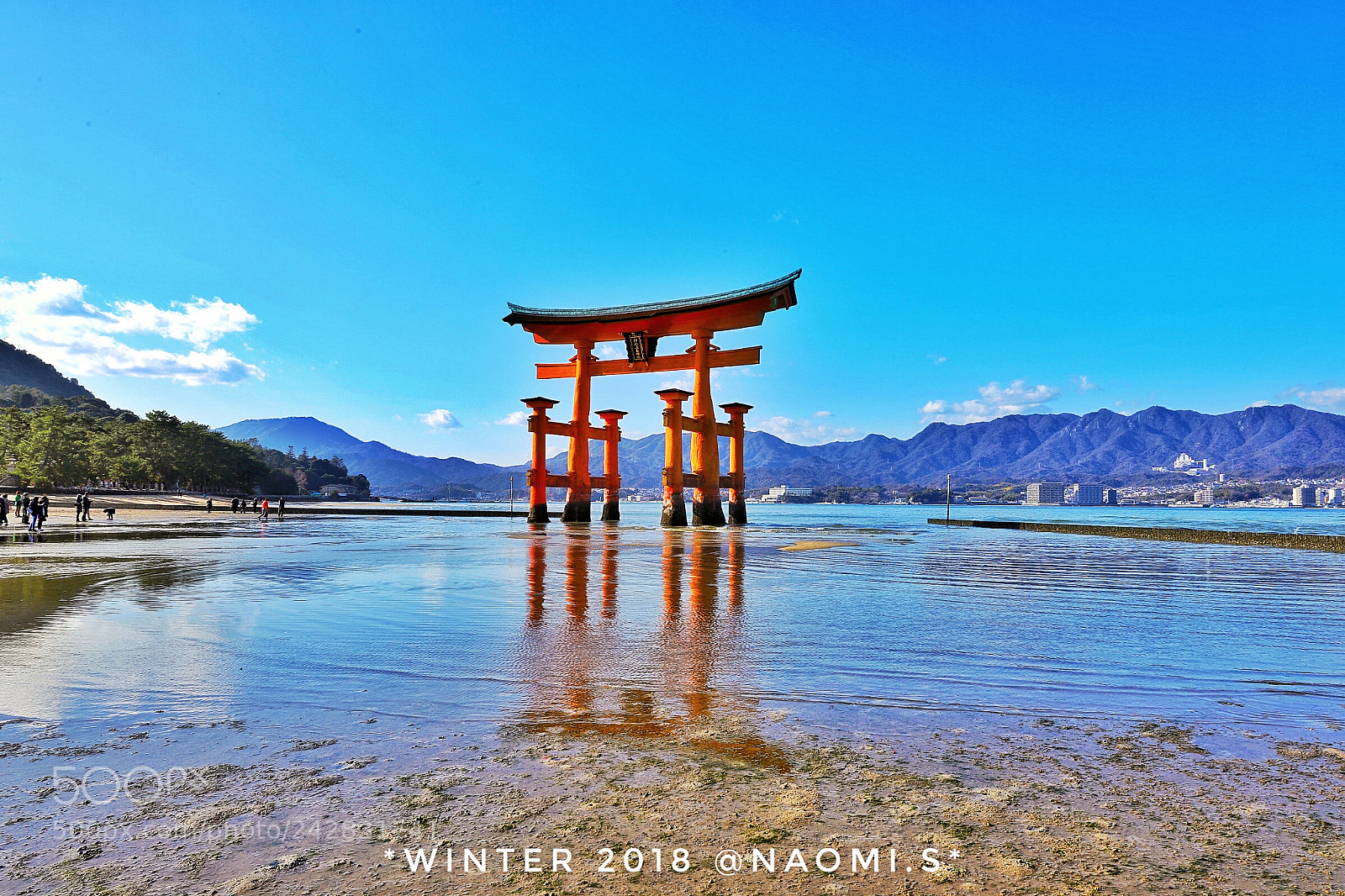 Canon EOS 6D Mark II sample photo. Untitled photography