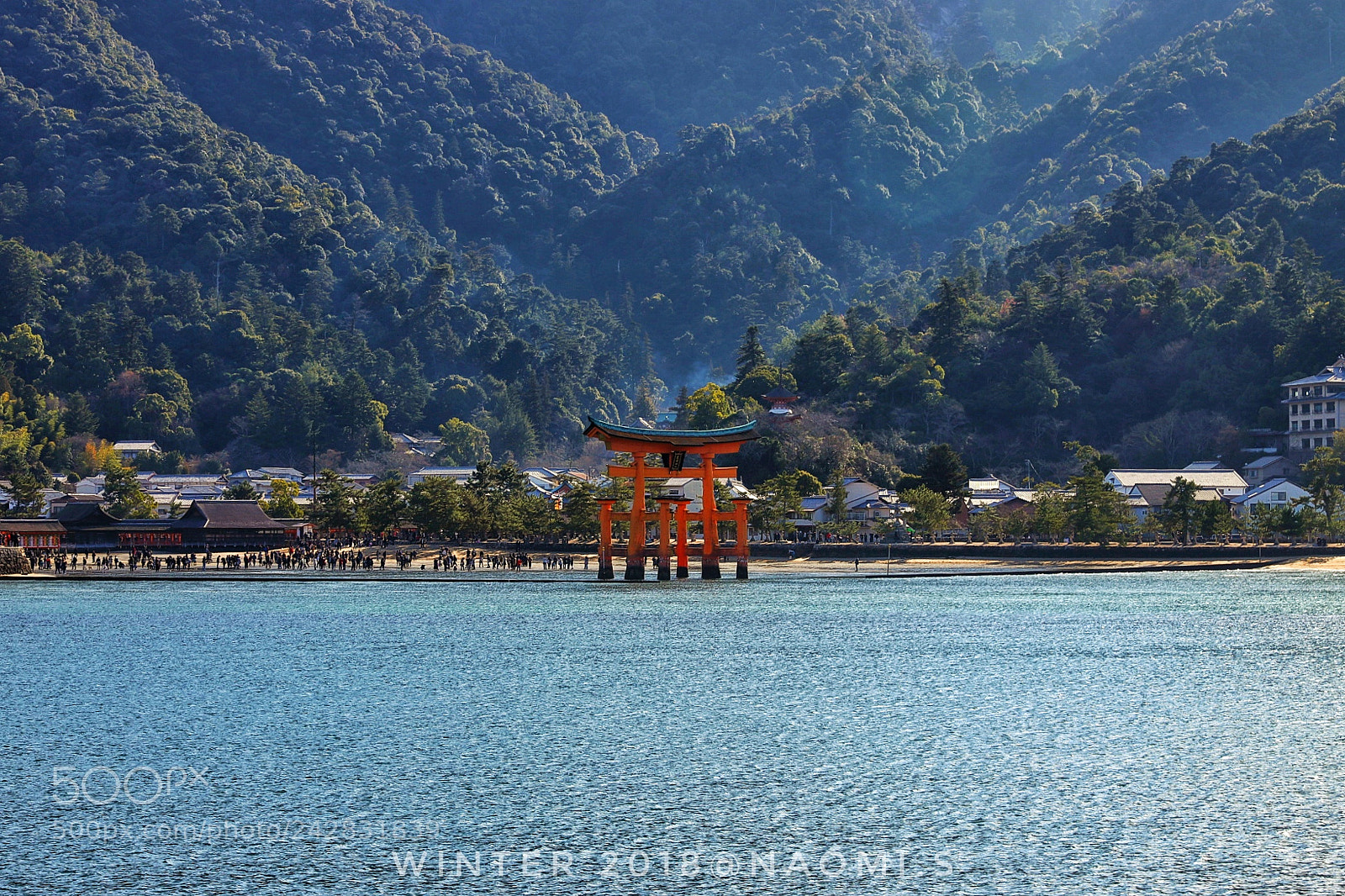 Canon EOS 6D Mark II sample photo. Untitled photography