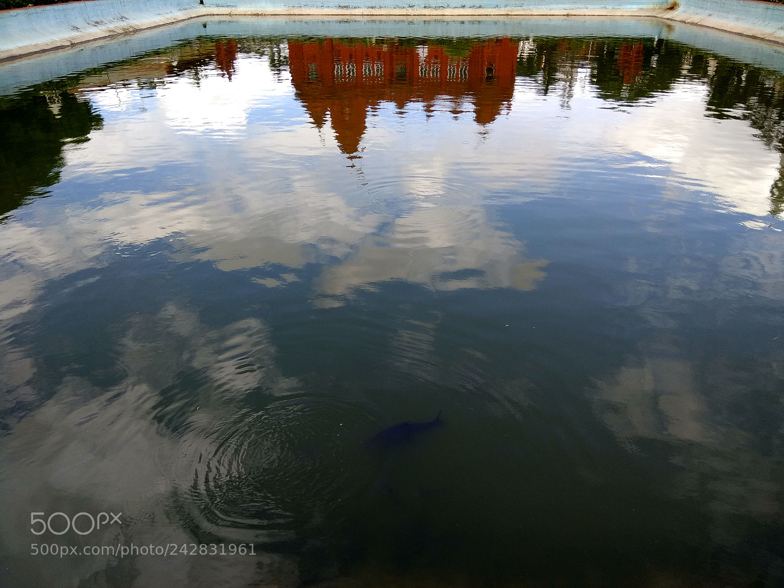 Xiaomi Redmi Note 4 sample photo. Casting back photography