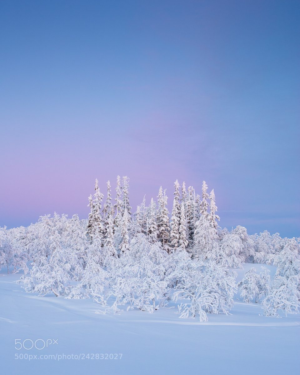 Canon EOS 5DS R sample photo. Drevfjället iii photography