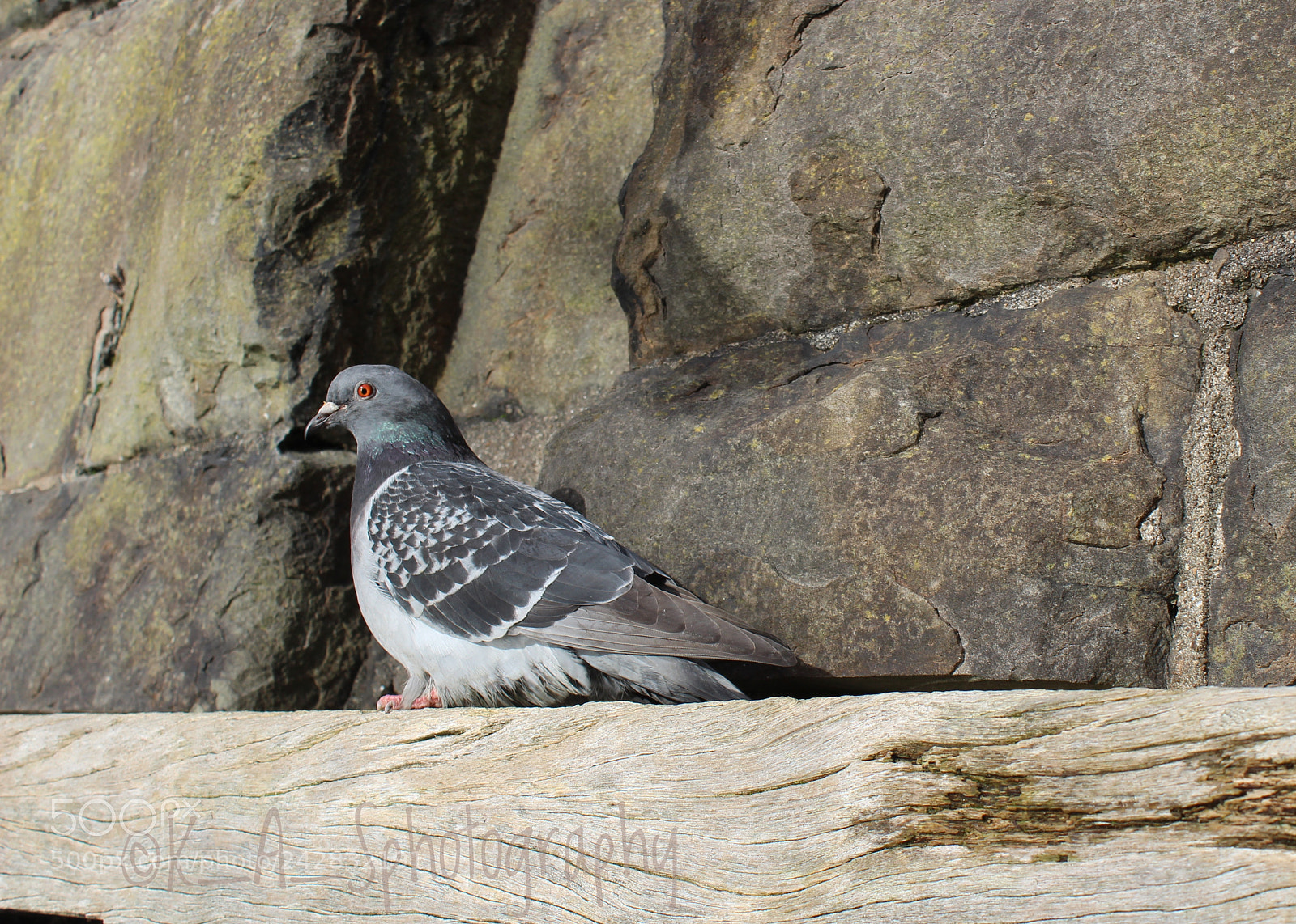 Canon EOS 1200D (EOS Rebel T5 / EOS Kiss X70 / EOS Hi) sample photo. Cardiff docks photography