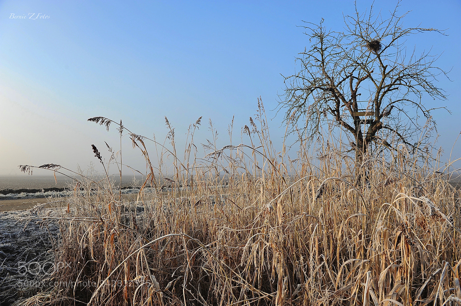 Nikon D3 sample photo. Winter landscape photography