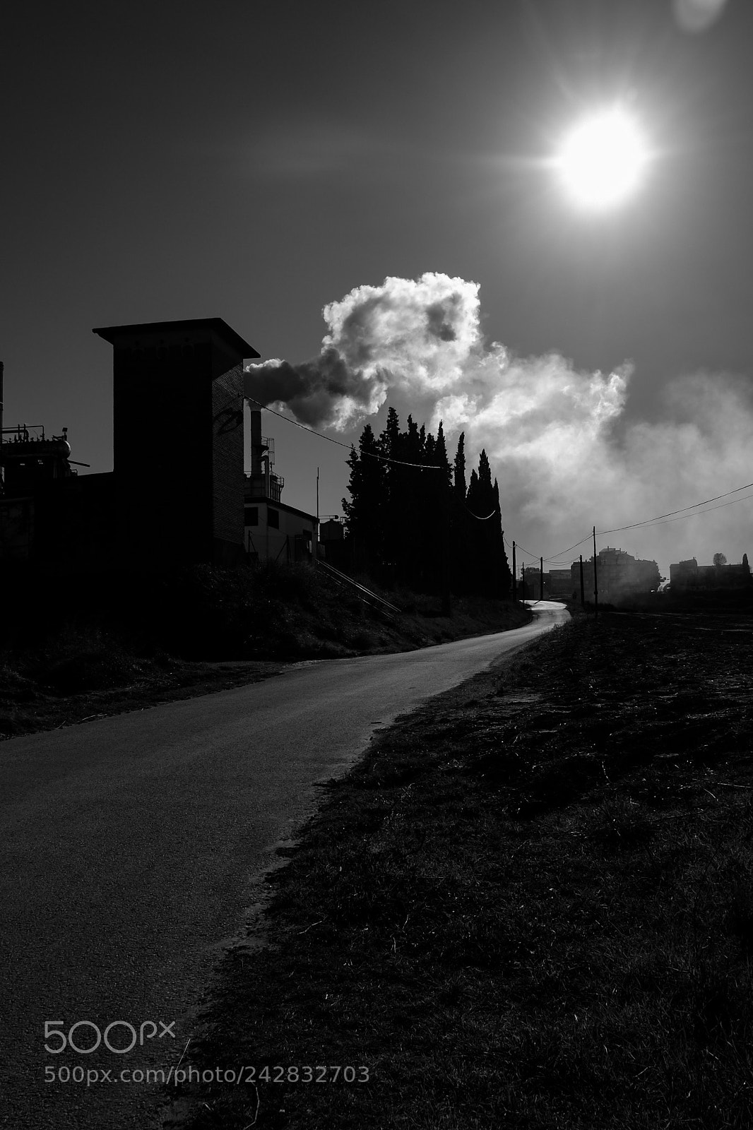 Fujifilm X-T10 sample photo. Untitled photography