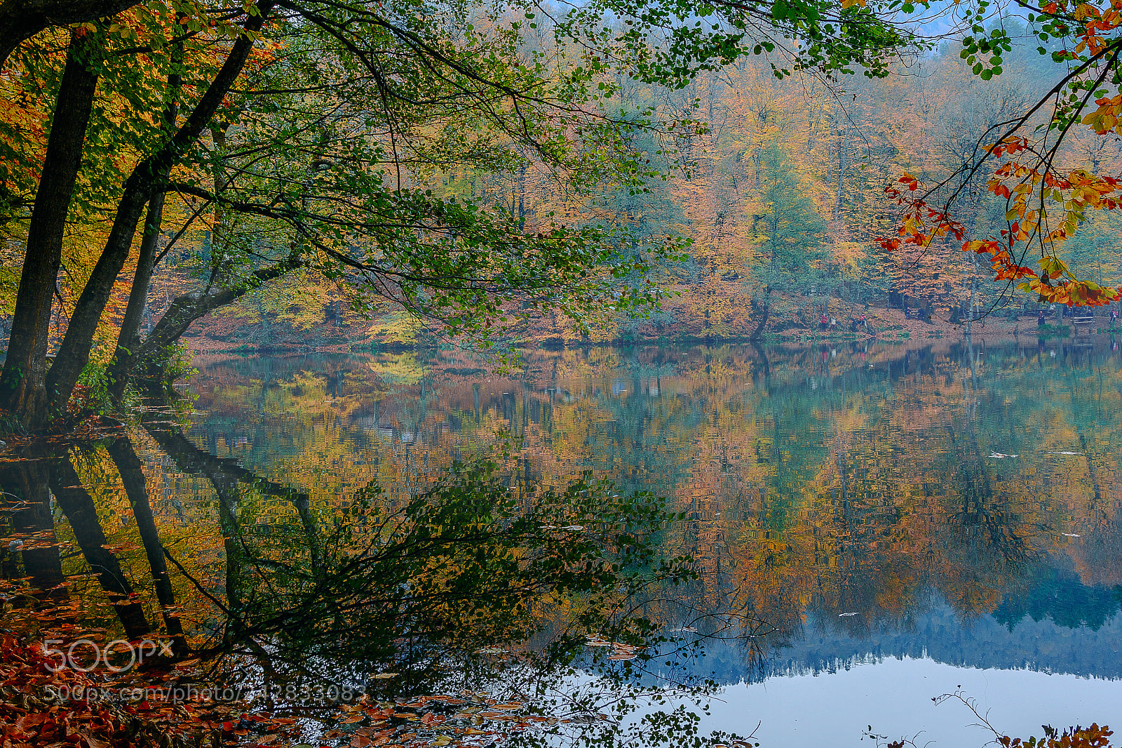 Nikon D7100 sample photo. B y kg l photography