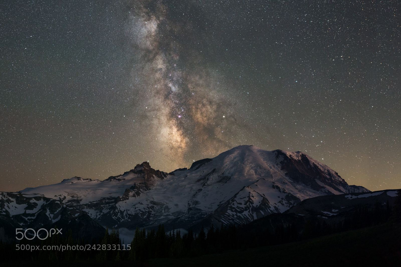 Nikon D800 sample photo. Rainier photography