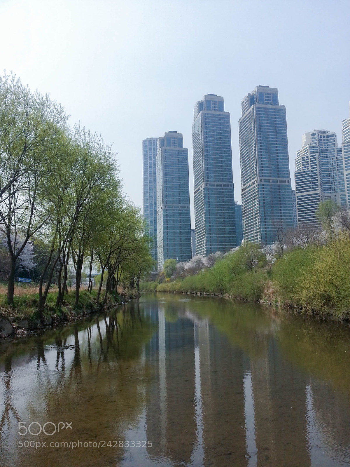 Samsung Galaxy Note2 sample photo. Beside the river photography