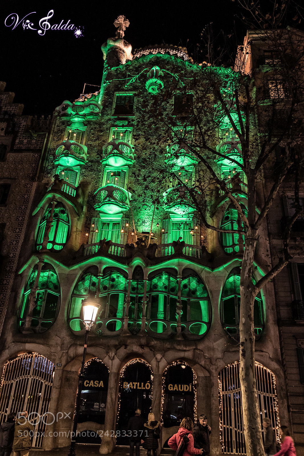 Nikon D7500 sample photo. Casa batlló en verde photography