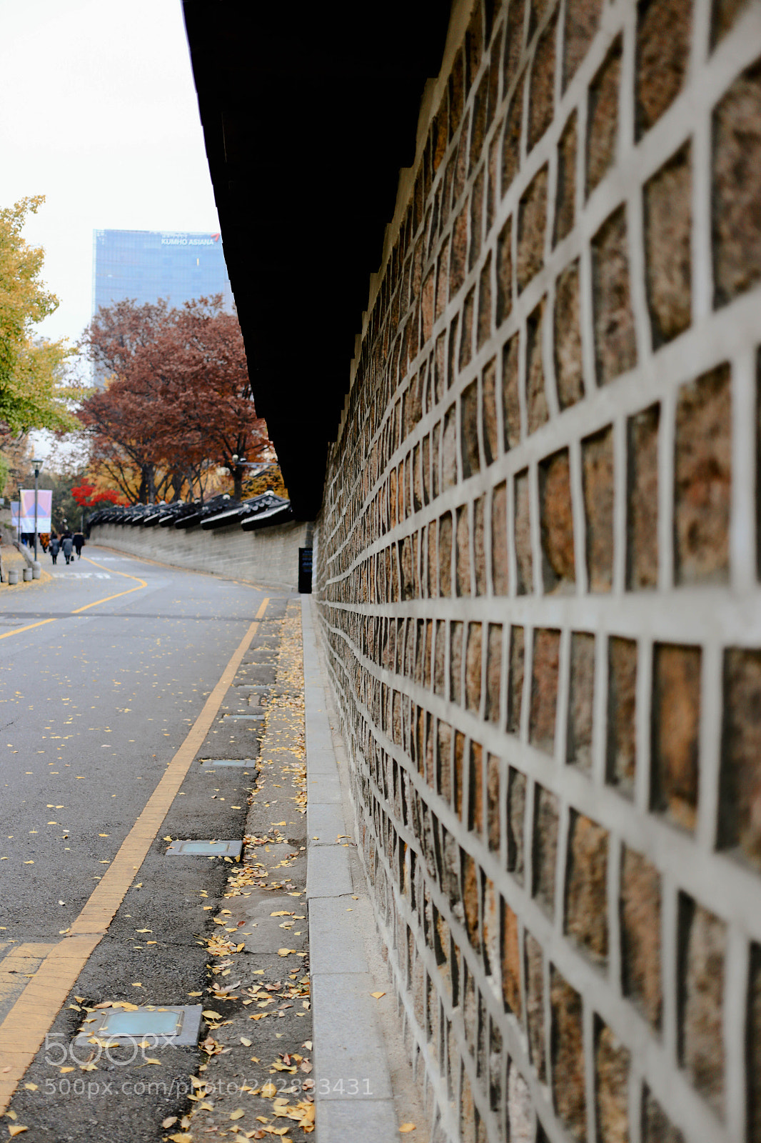 Canon EOS 6D sample photo. Road and wall photography