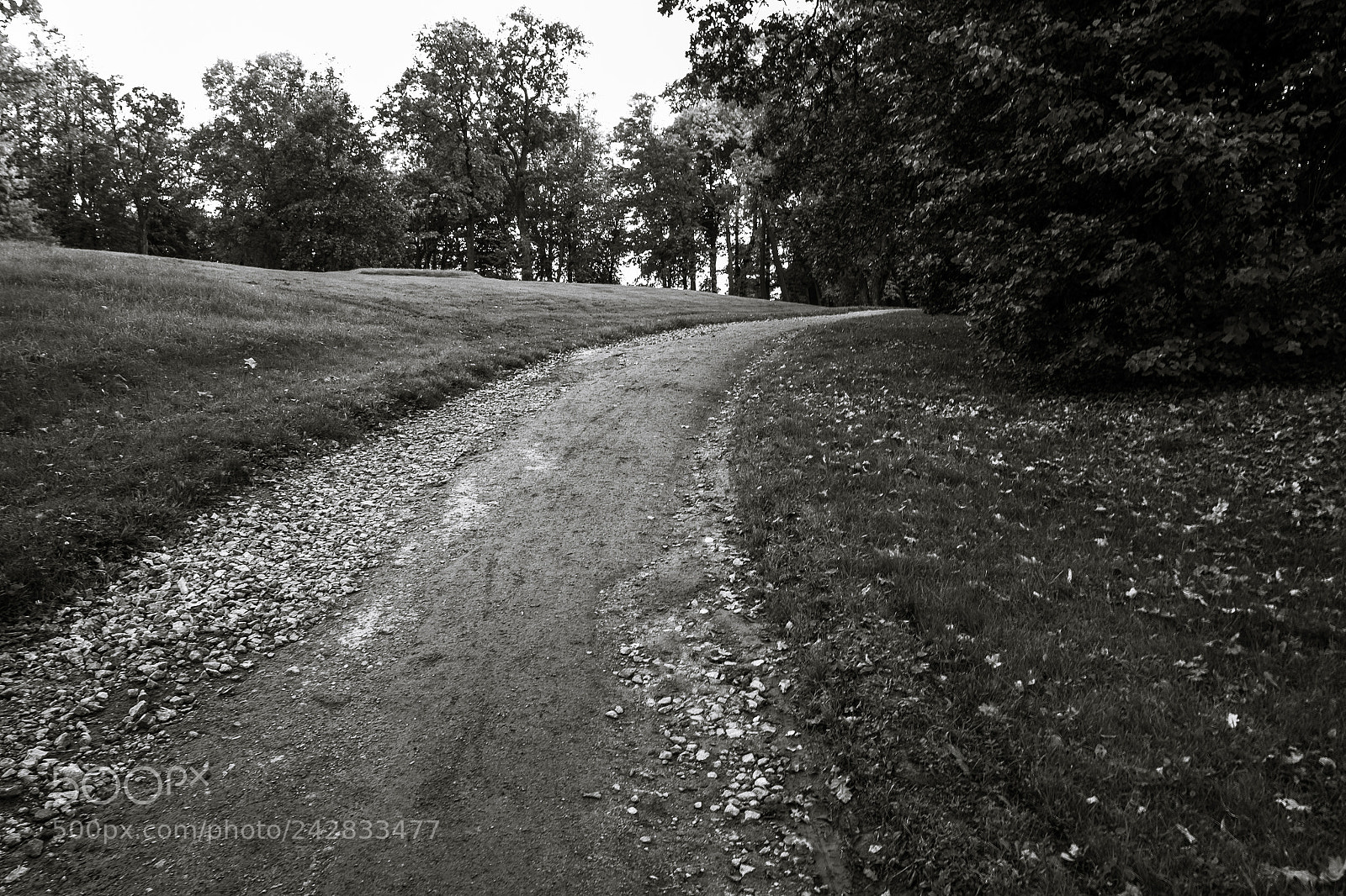 Fujifilm X-Pro1 sample photo. Runaway road photography