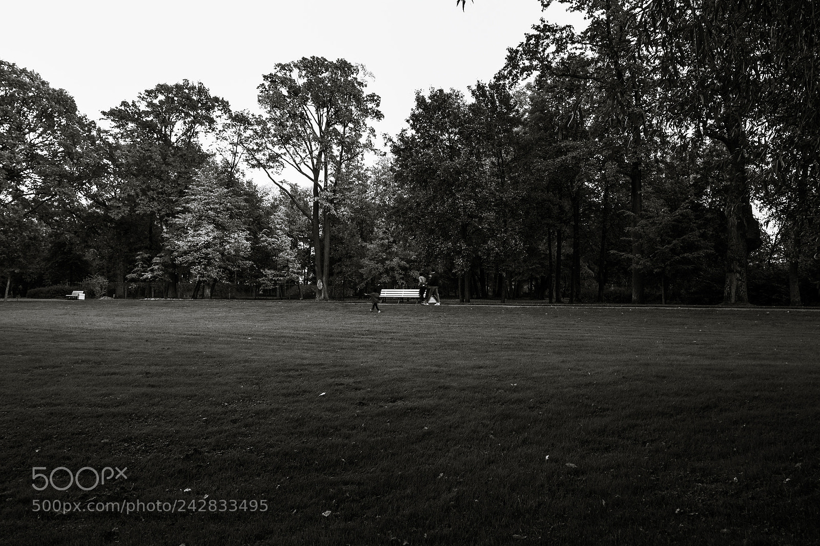 Fujifilm X-Pro1 sample photo. Family and white bench photography