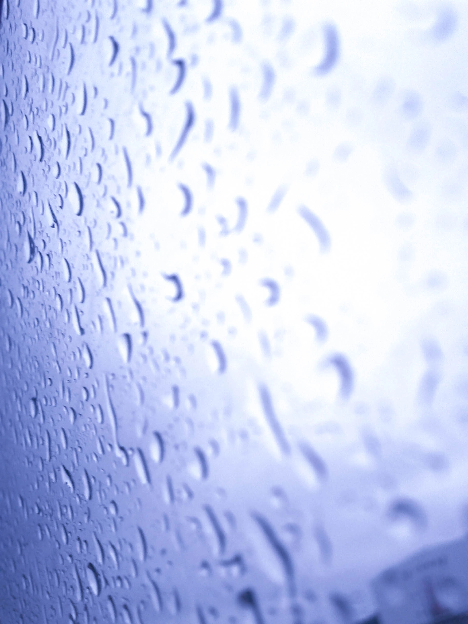Google Nexus S sample photo. Rain drop photography