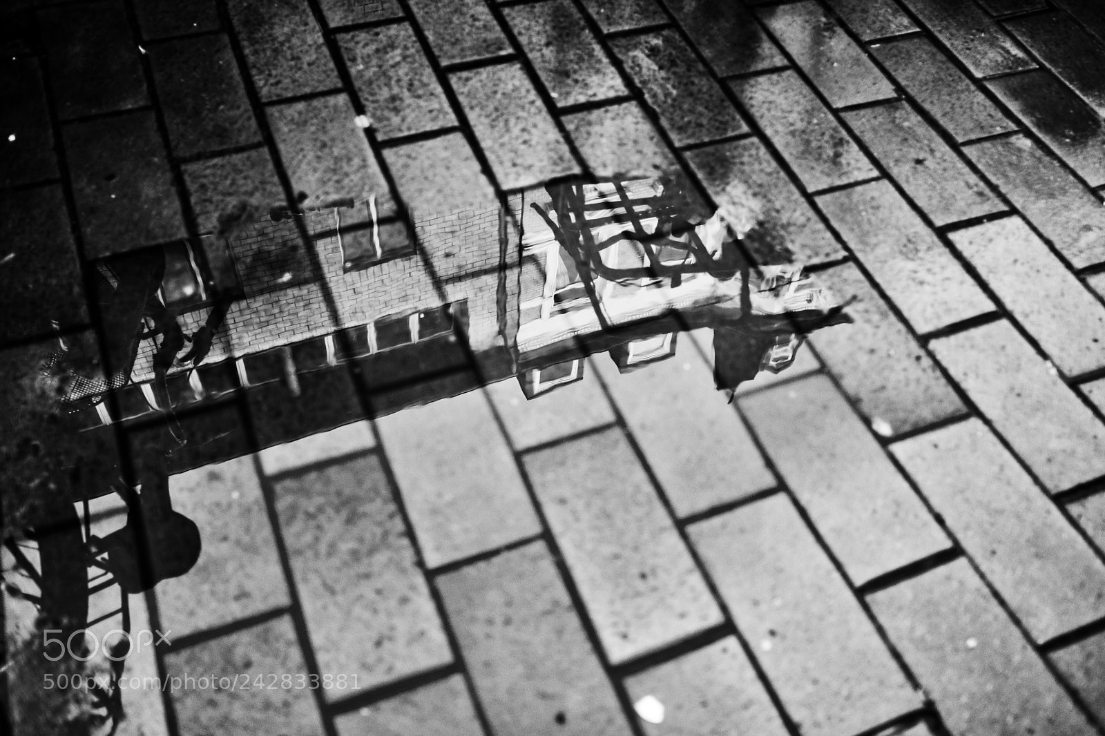 Fujifilm X-Pro2 sample photo. No name photography