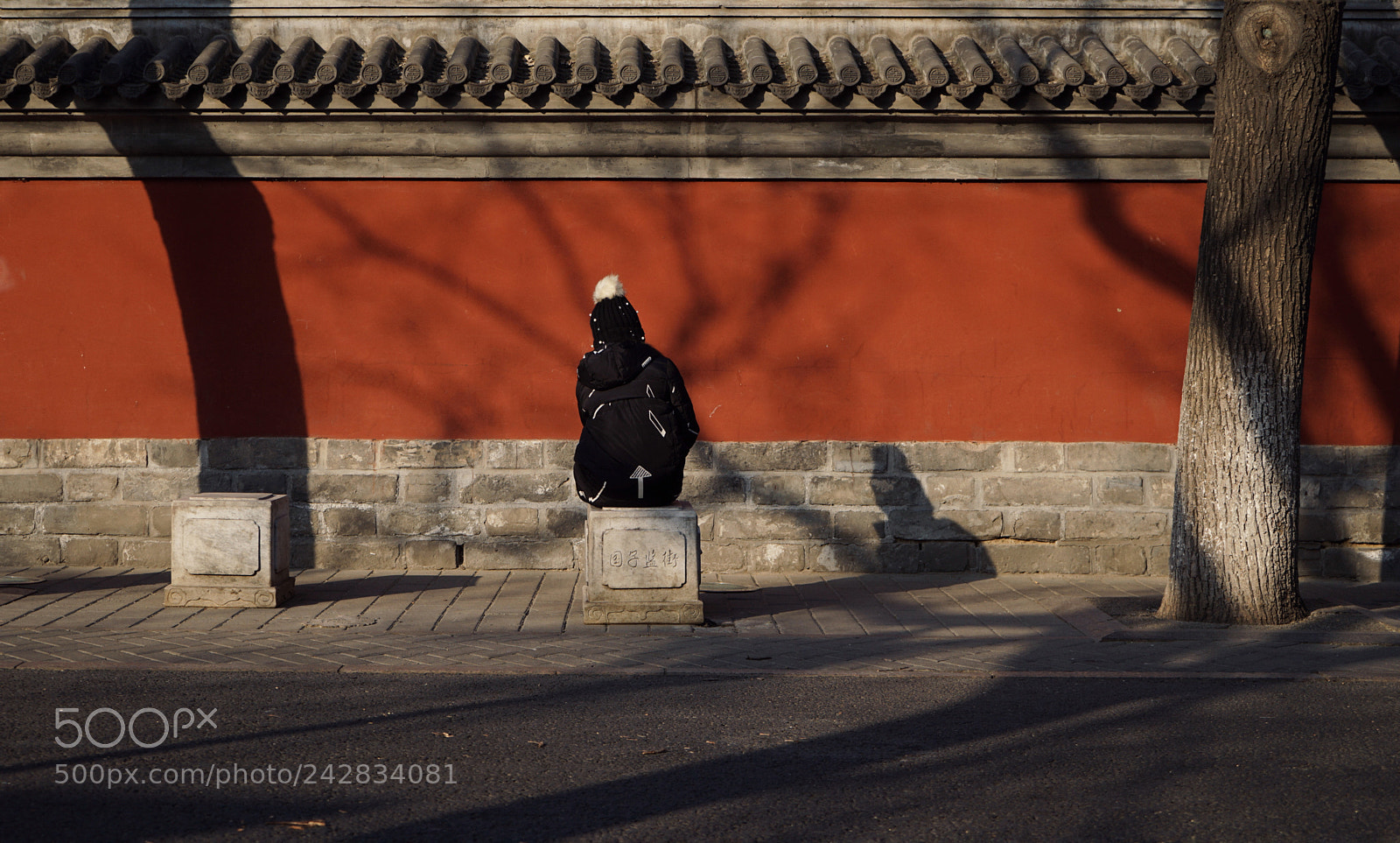 Sony a7 II sample photo. Untitled photography