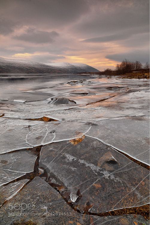 Nikon D810 sample photo. Iced photography