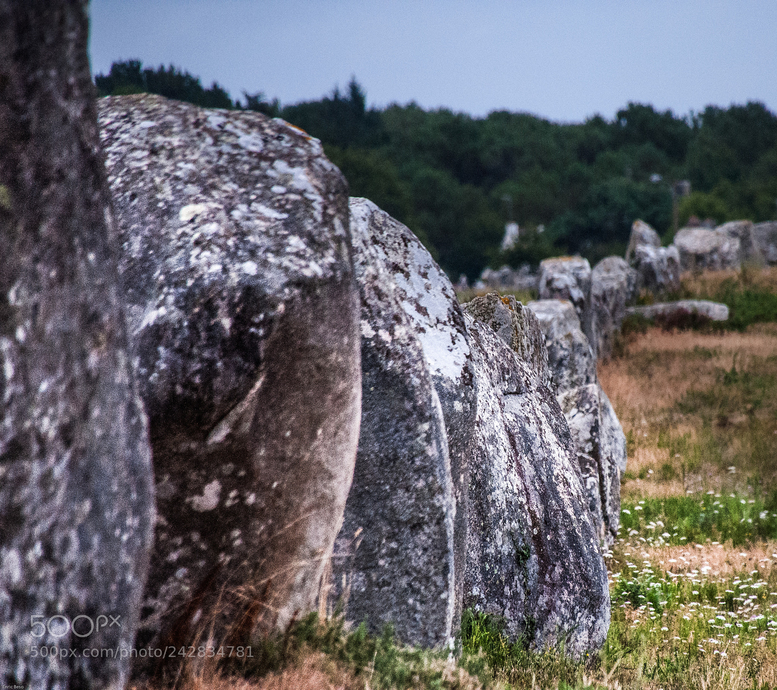 Nikon D5000 sample photo. Menhir in carnac photography
