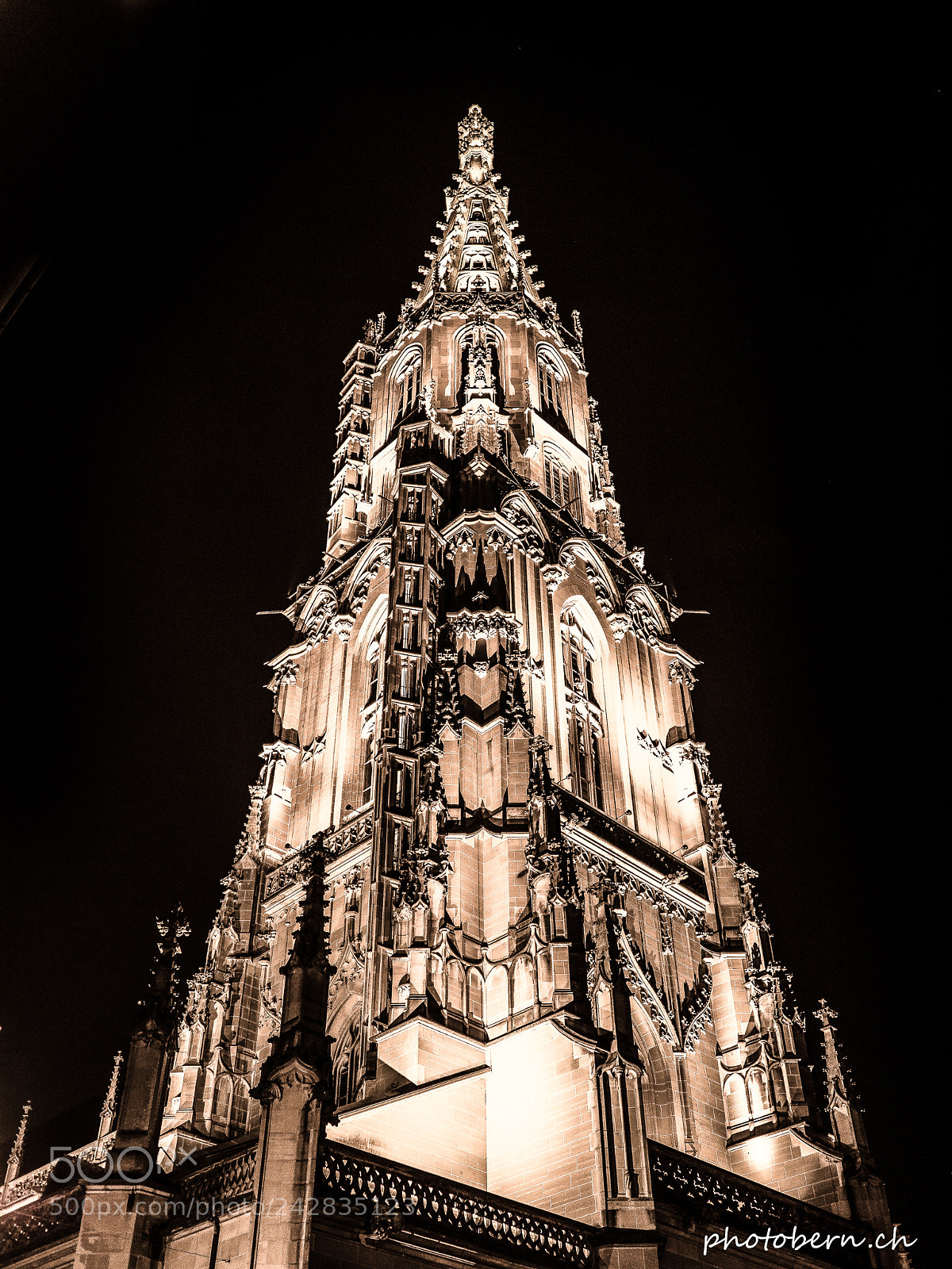 Olympus OM-D E-M1 Mark II sample photo. Berner_münster photography