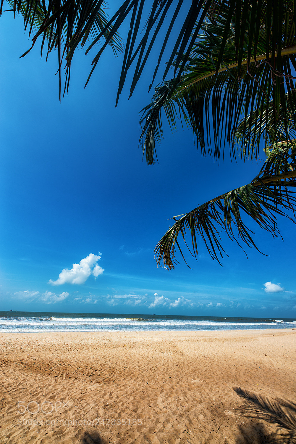Nikon D800 sample photo. India beach photography