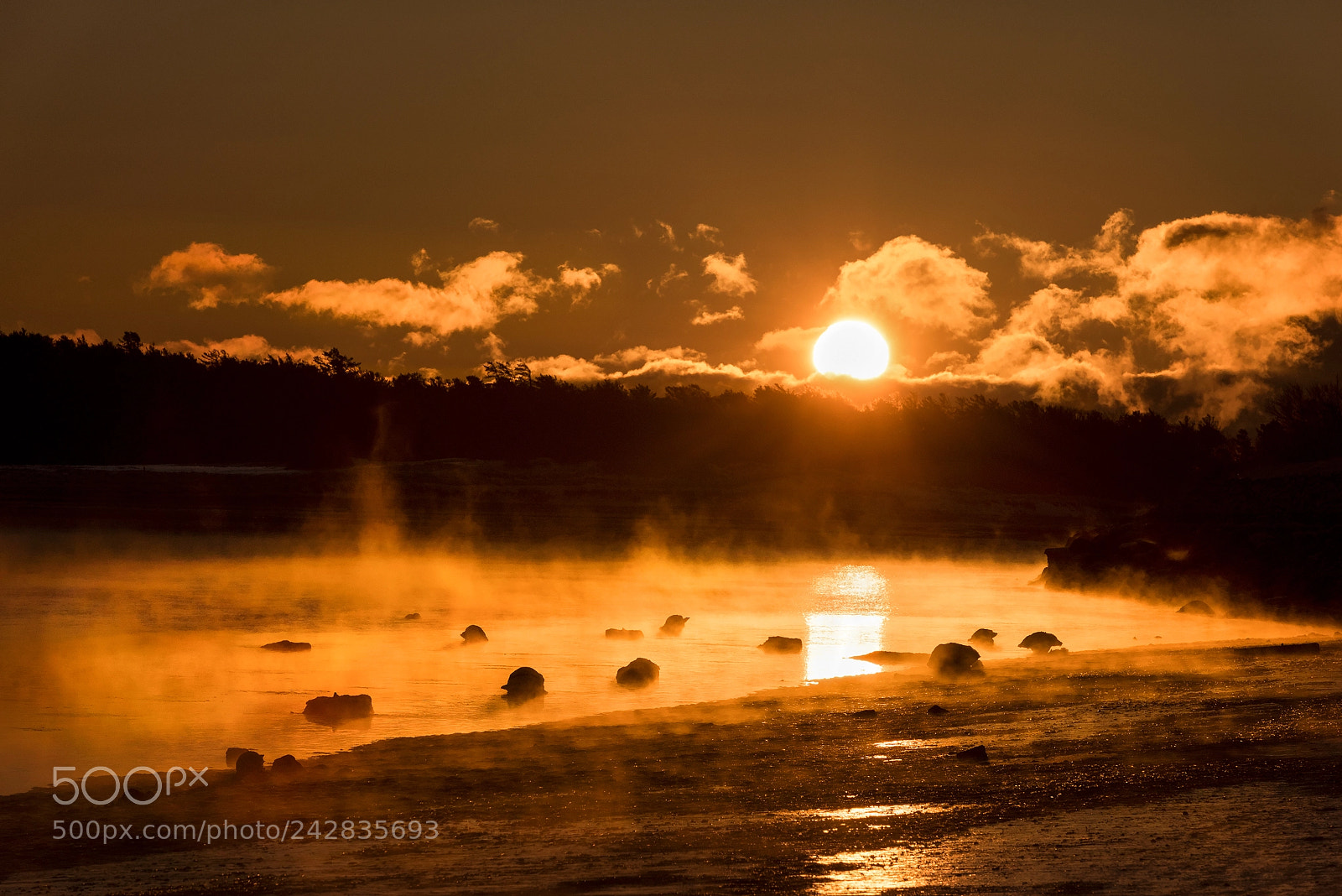 Nikon D810 sample photo. Pine point dawn photography