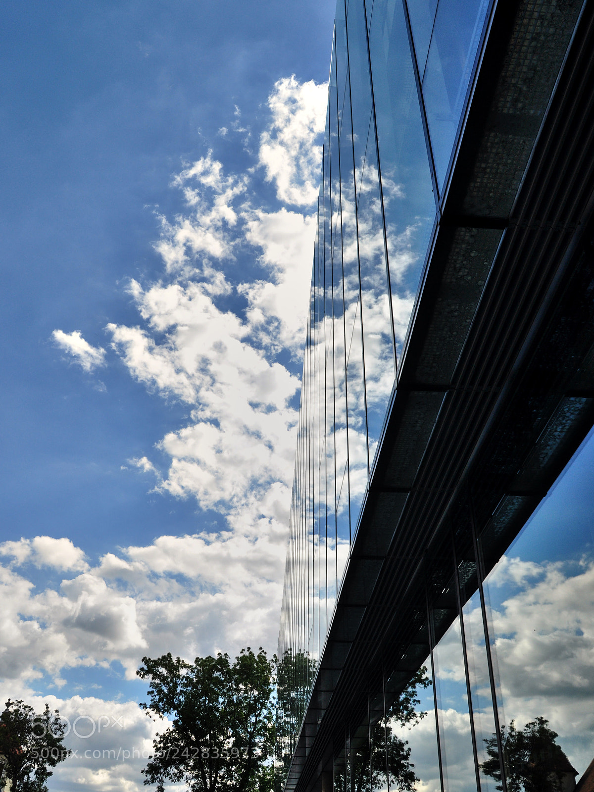 Nikon D5000 sample photo. Mirrored photography