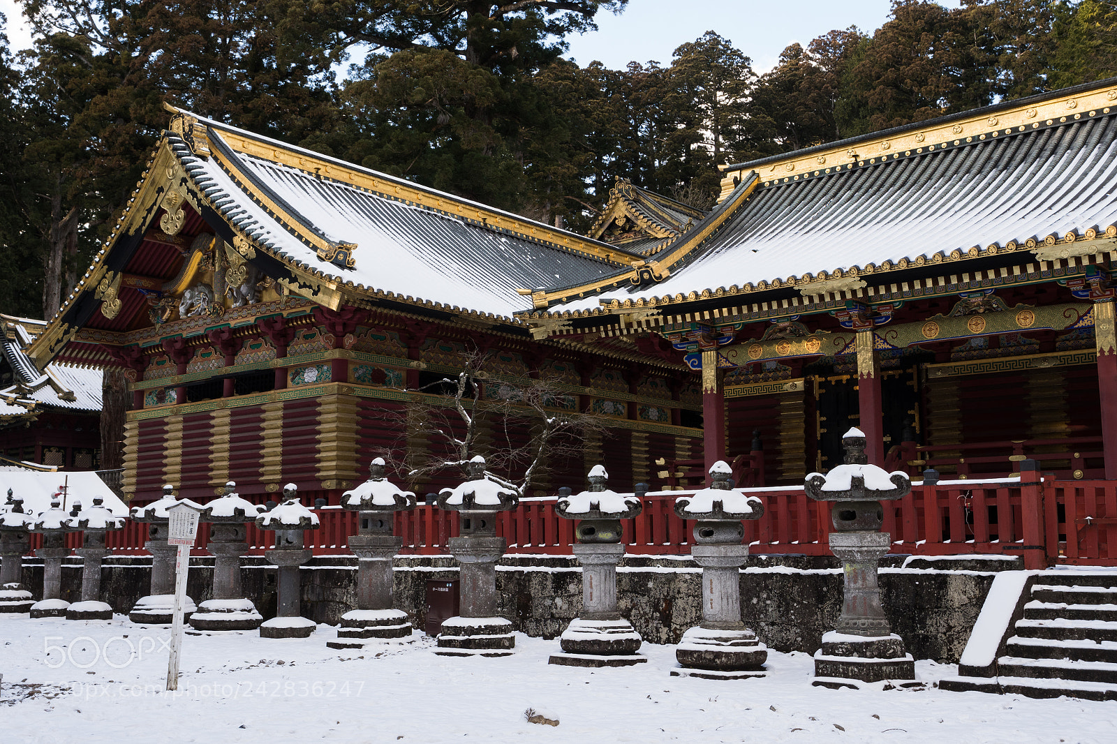 Panasonic Lumix DC-GH5 sample photo. Nikko in winter photography