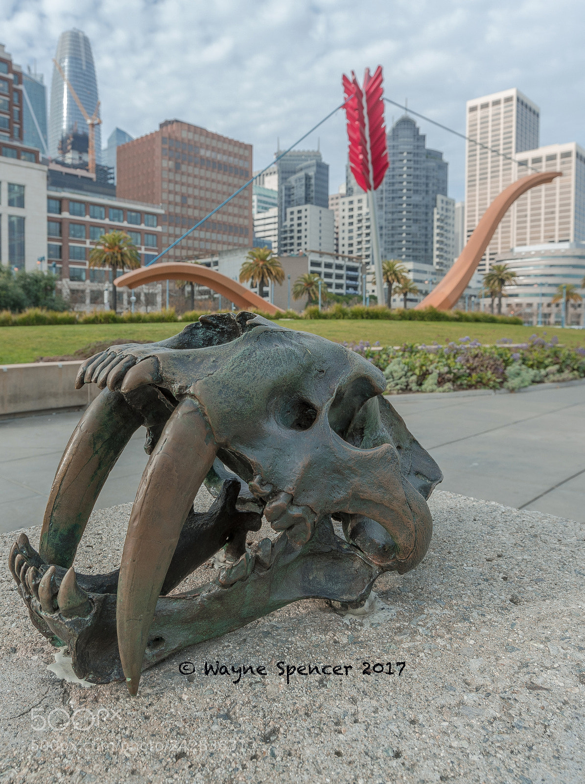 Canon EOS-1D X Mark II sample photo. Long in the tooth photography
