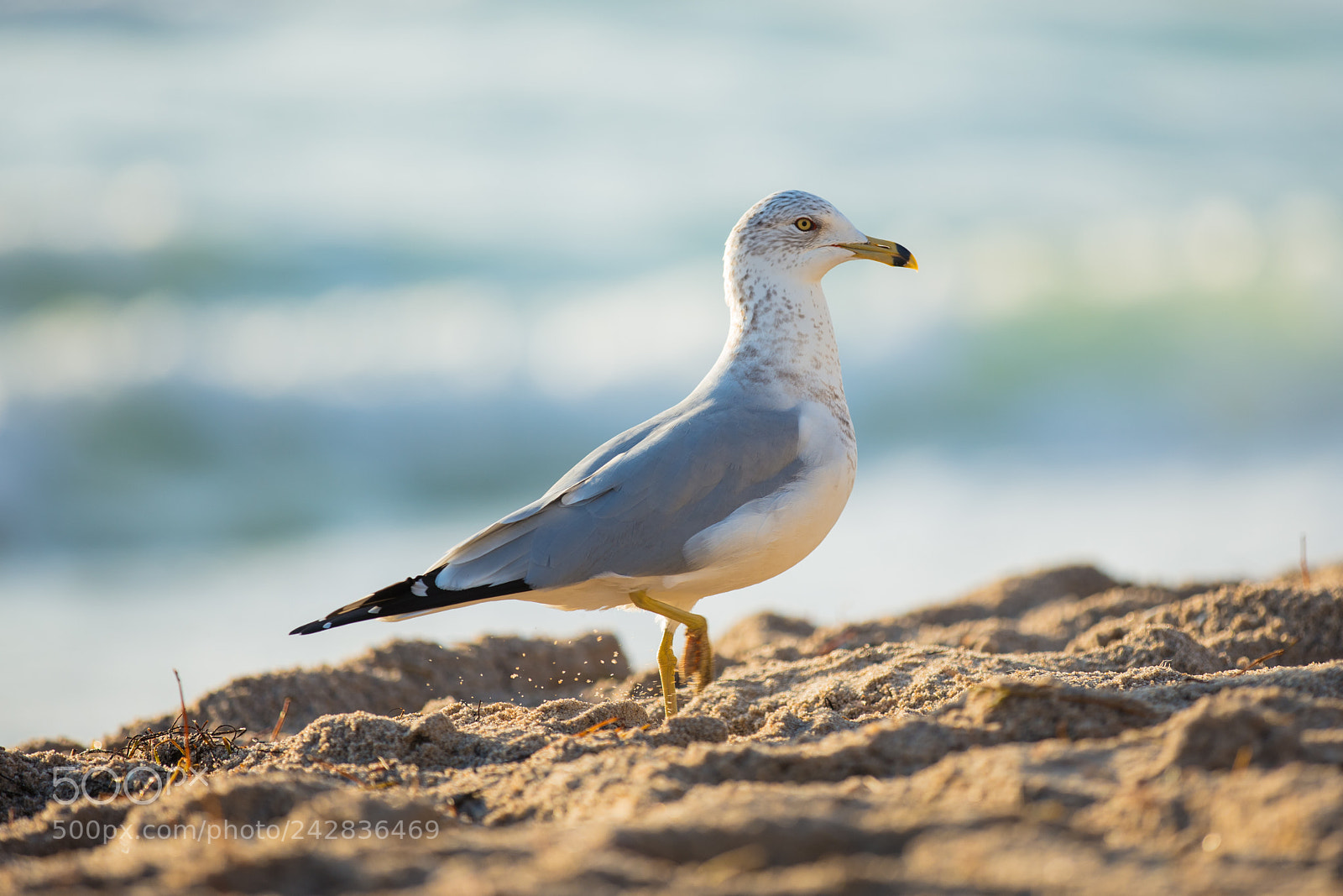 Canon EOS 5DS sample photo. Untitled photography