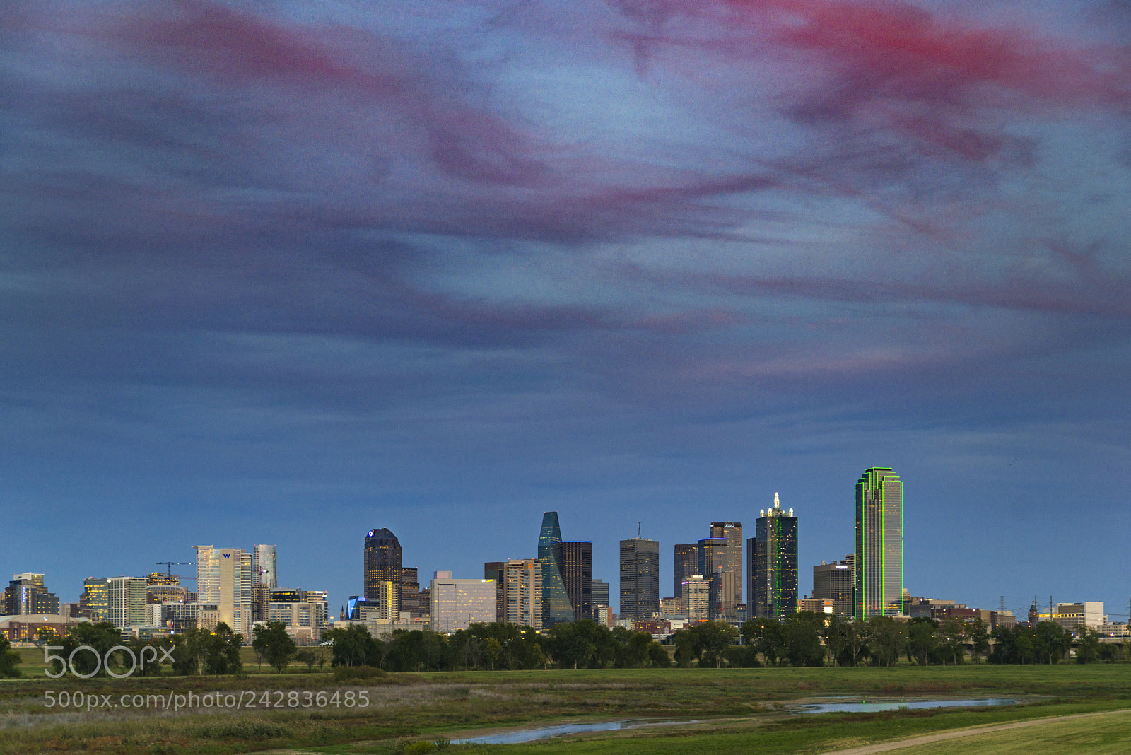 Nikon D800 sample photo. Under a bleeding sky photography