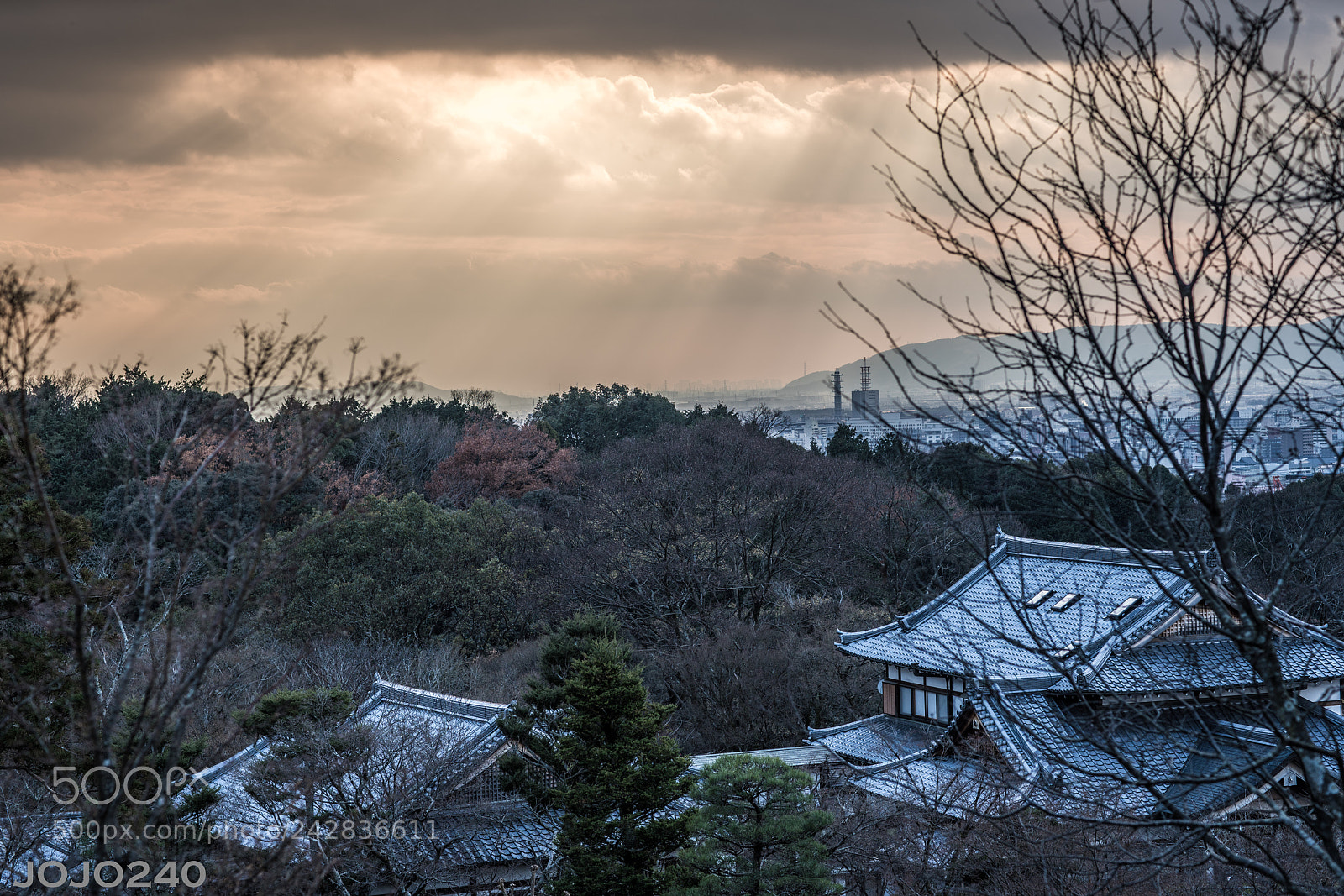 Sony a7R III sample photo. Untitled photography