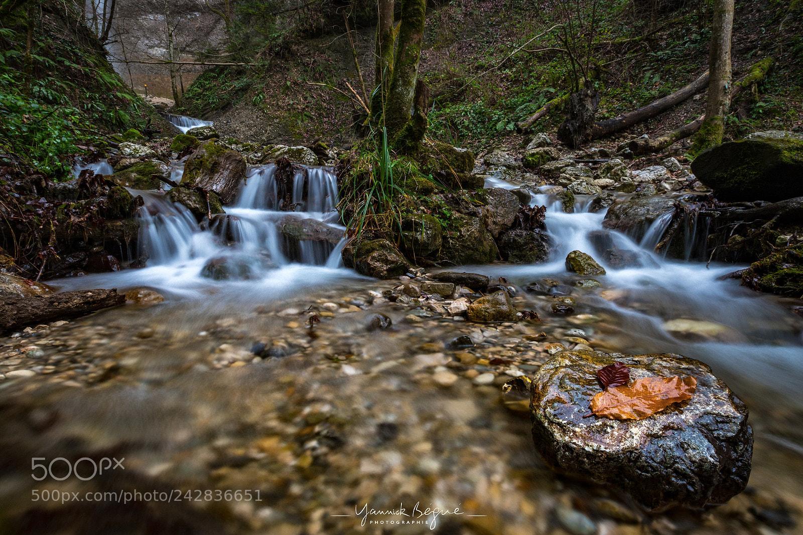 Canon EOS 6D Mark II sample photo. Waterfall, chartreuse mountain photography