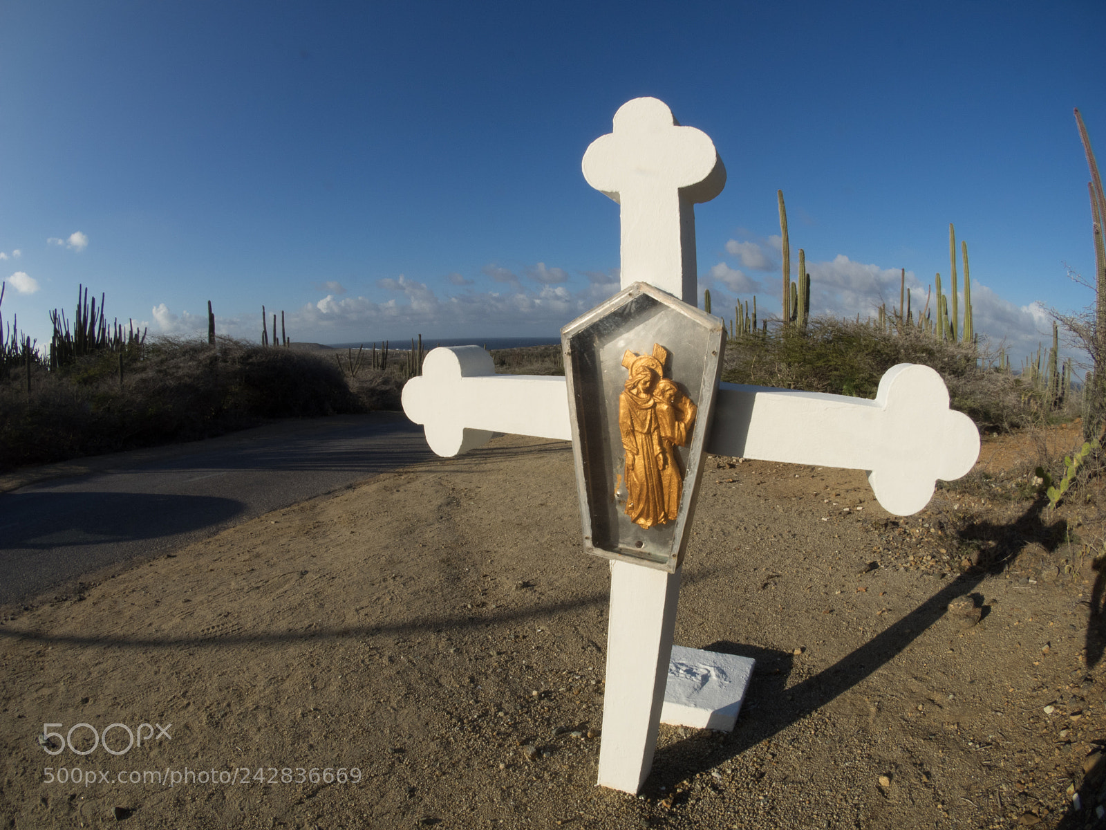 Olympus OM-D E-M1 sample photo. Bhp_scenic_aruba_20160227_3832.jpg photography