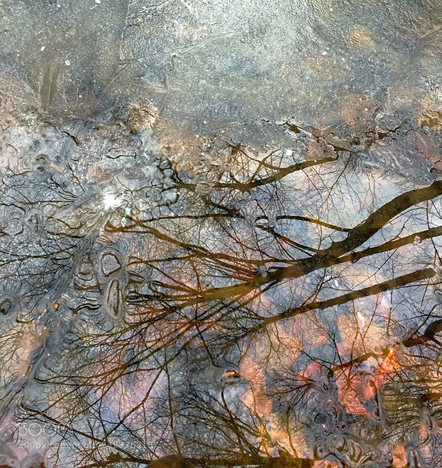 Apple iPhone 6s Plus sample photo. Reflections on a frozen photography