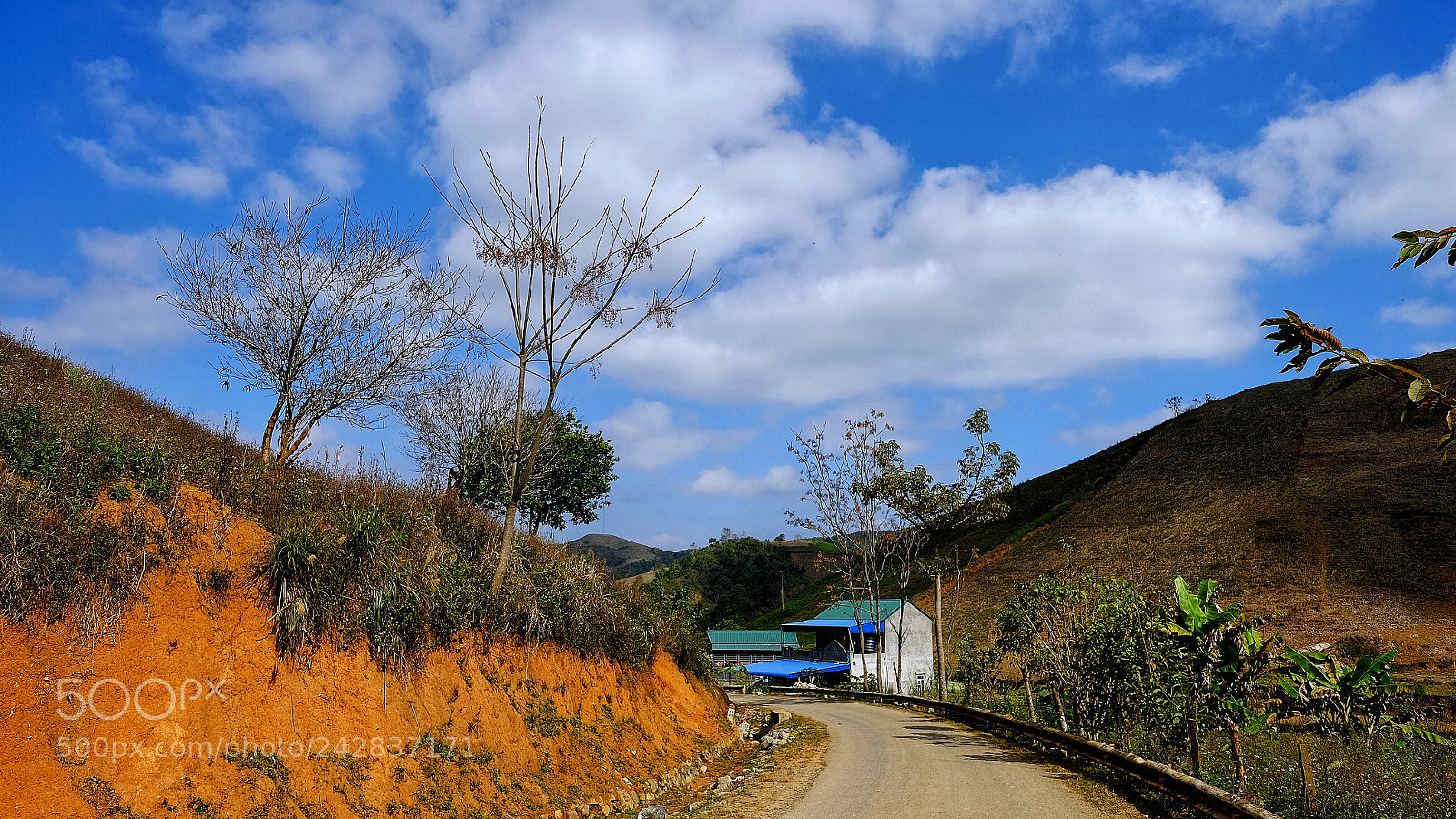 Fujifilm X-E2S sample photo. Untitled photography