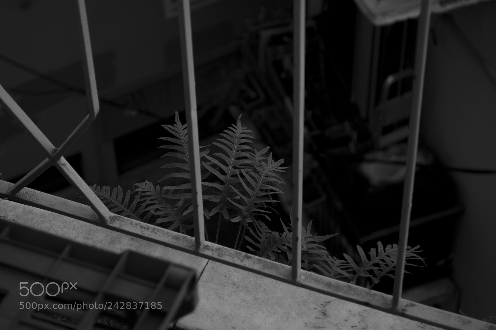 Nikon D7200 sample photo. Life of the balcony photography