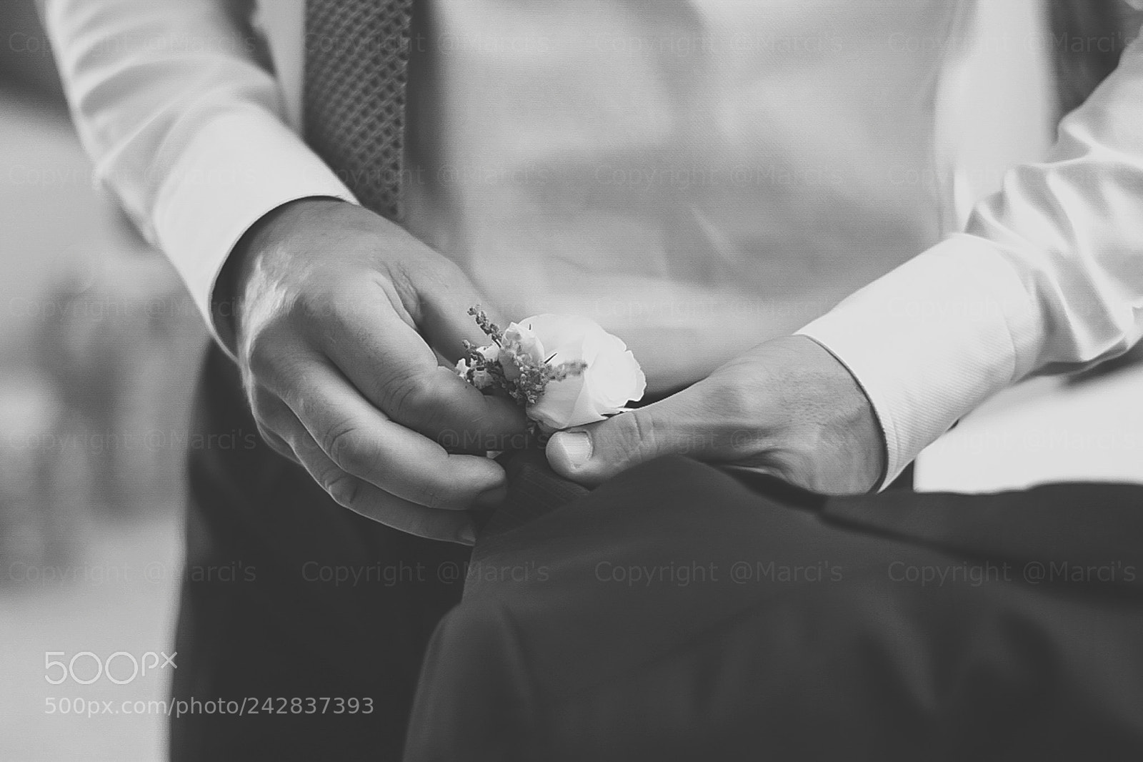 Nikon D7200 sample photo. Untitled photography