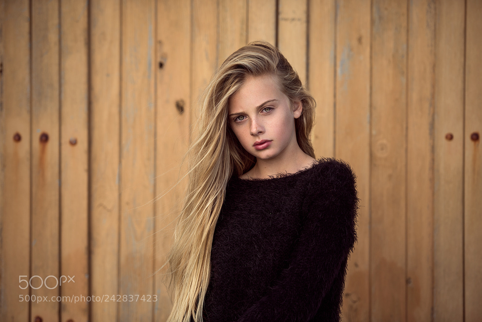 Nikon D810 sample photo. *** indi *** photography