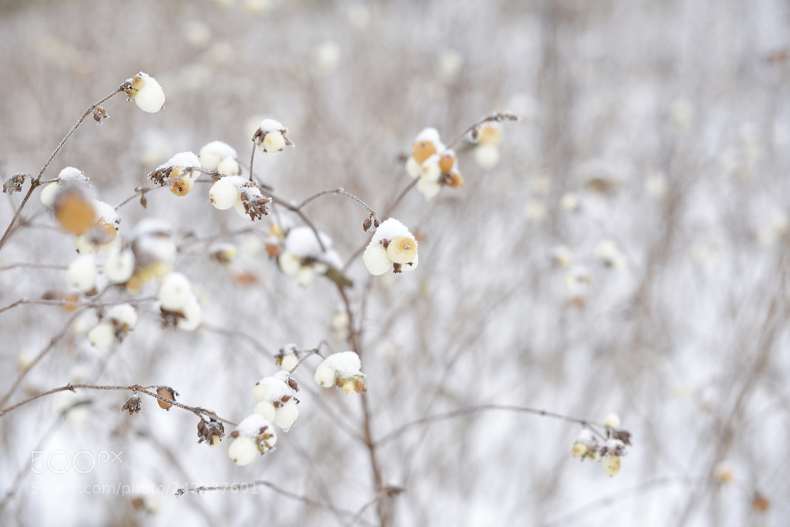 Nikon D800 sample photo. Lappeenranta, finland photography