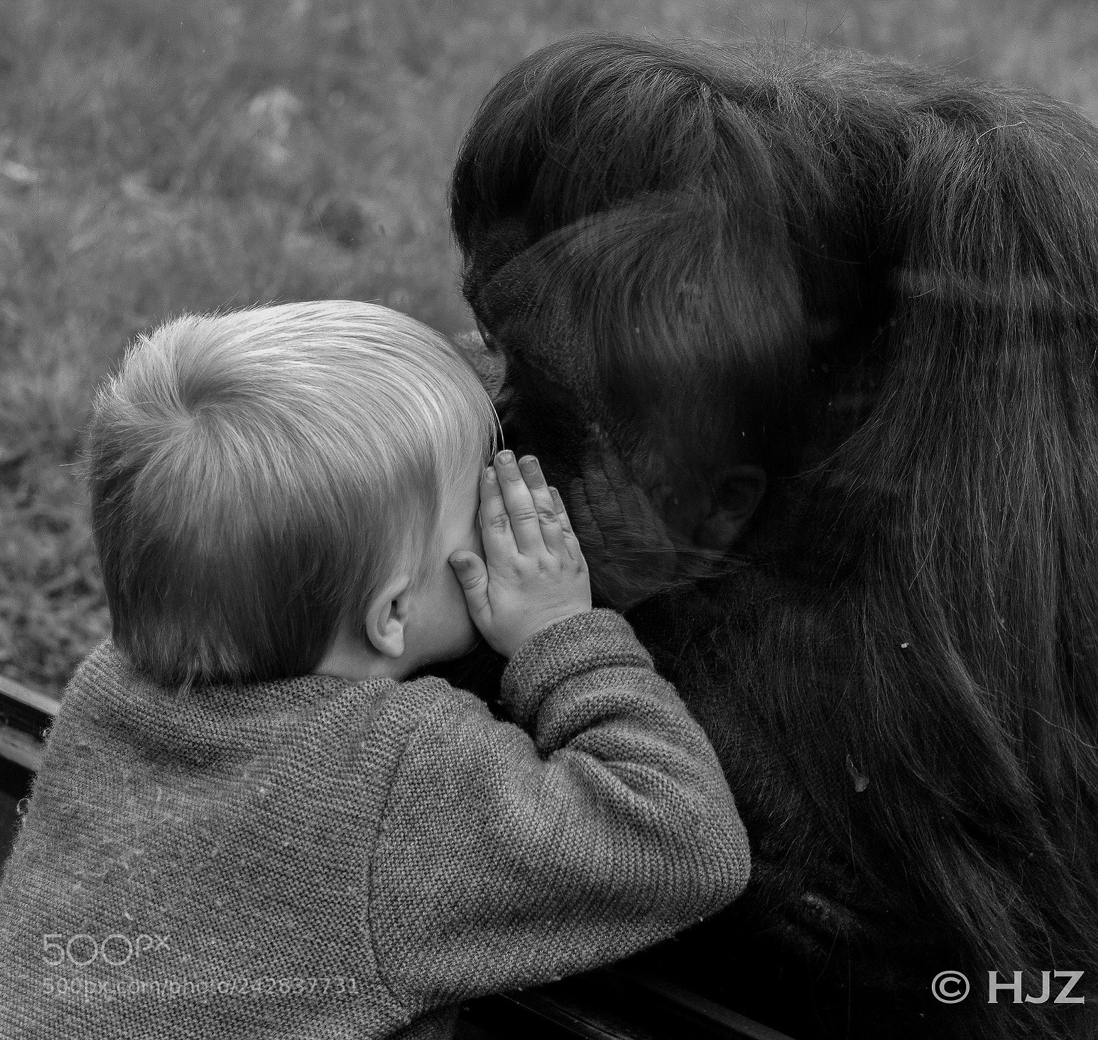 Leica M9 sample photo. I tell you what photography