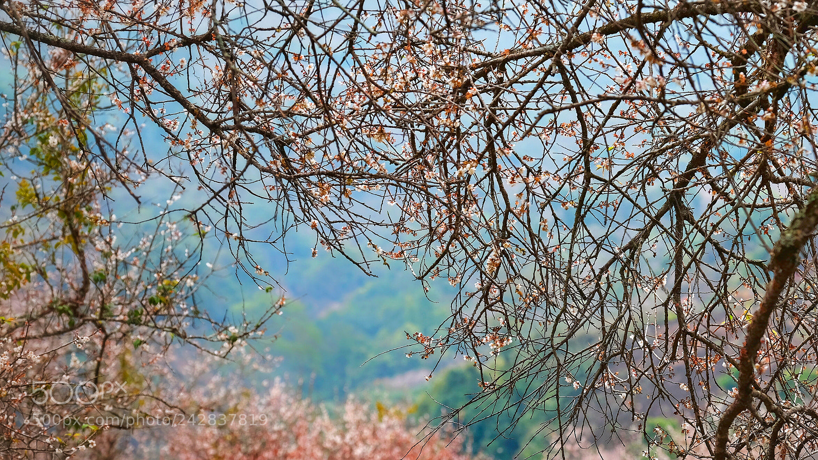 Fujifilm X-E2S sample photo. Untitled photography