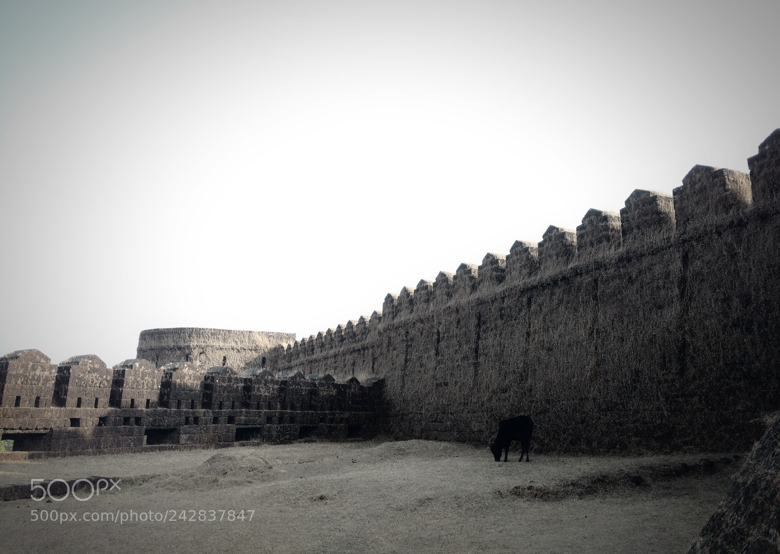 Motorola Moto X Play sample photo. Mirjan fort photography