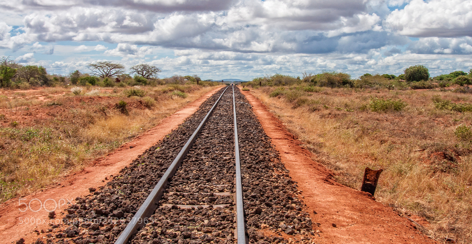 Nikon D90 sample photo. African railroad photography